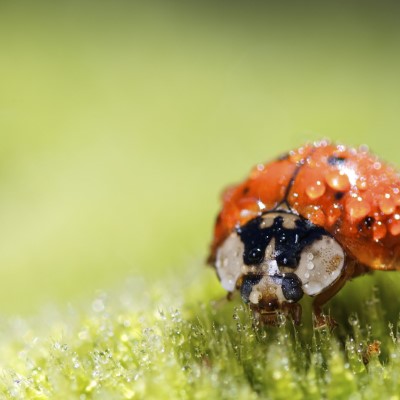 1920 x 1080 HD Wallpapers 2142